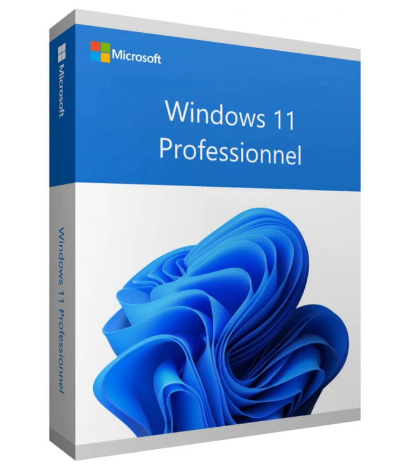 Windows 11 Professionnel